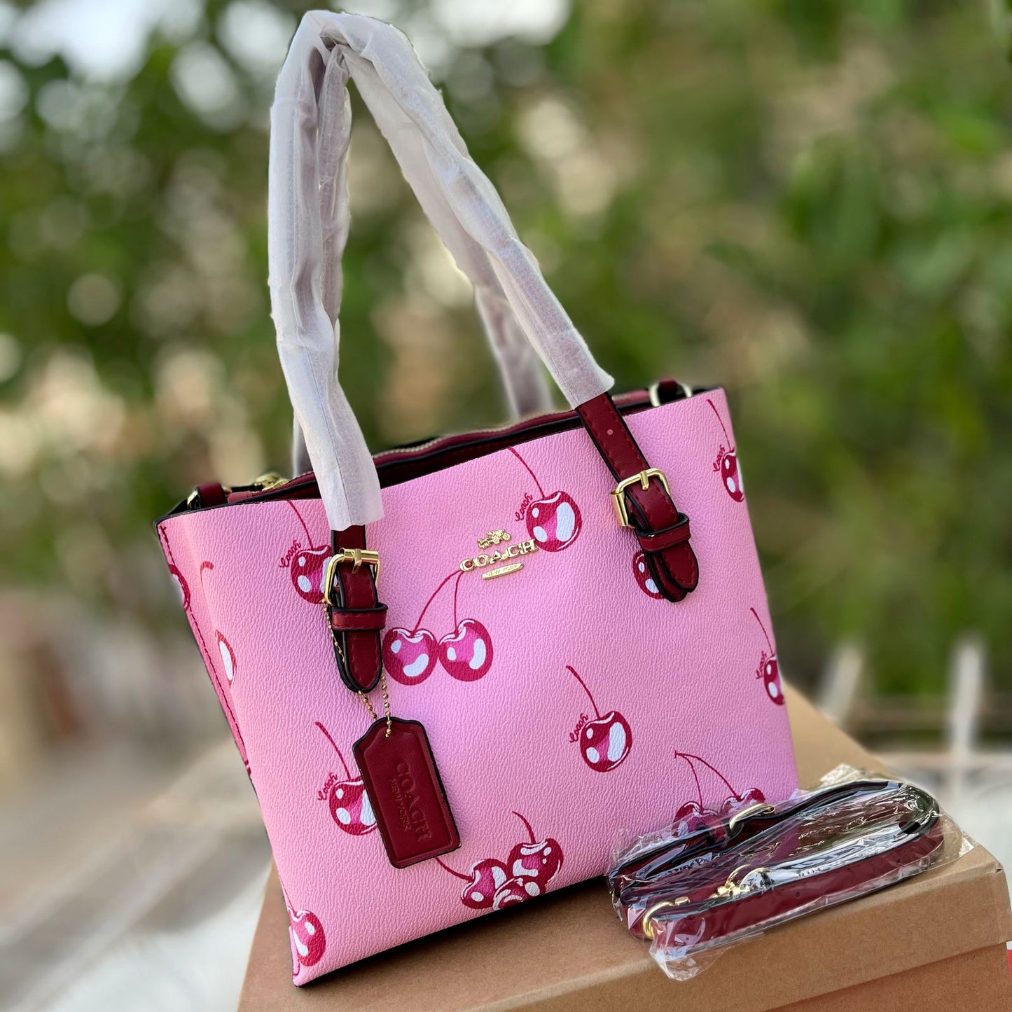 Coach Handbag