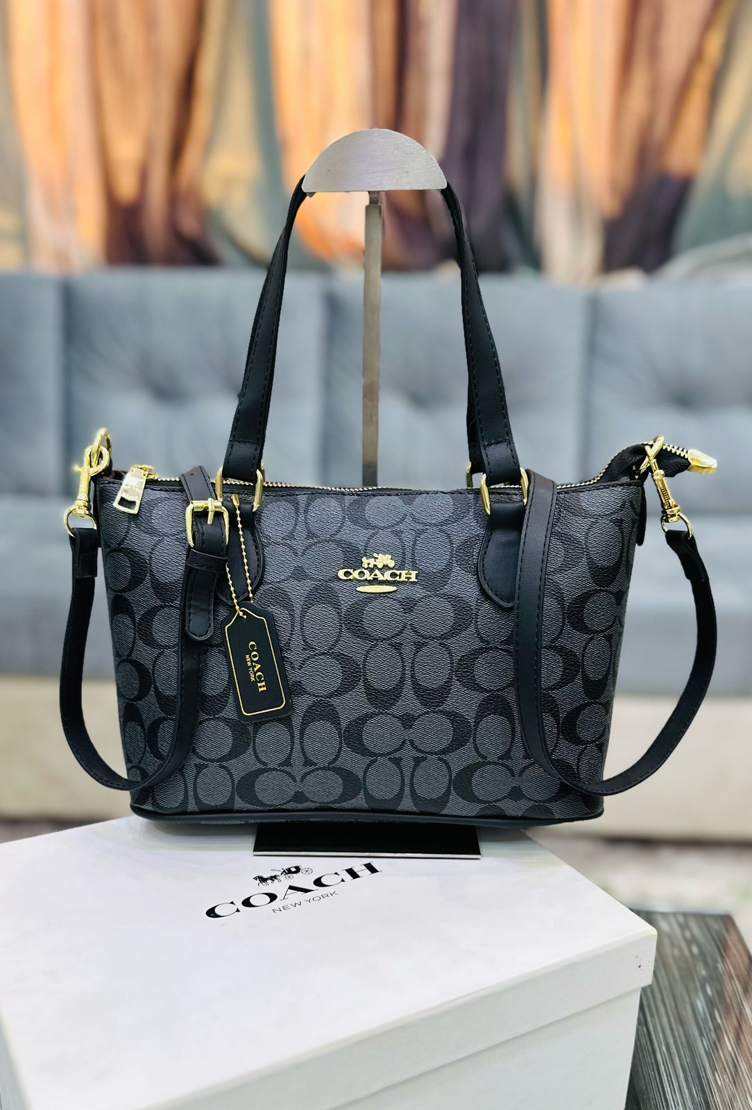 COACH Official Model