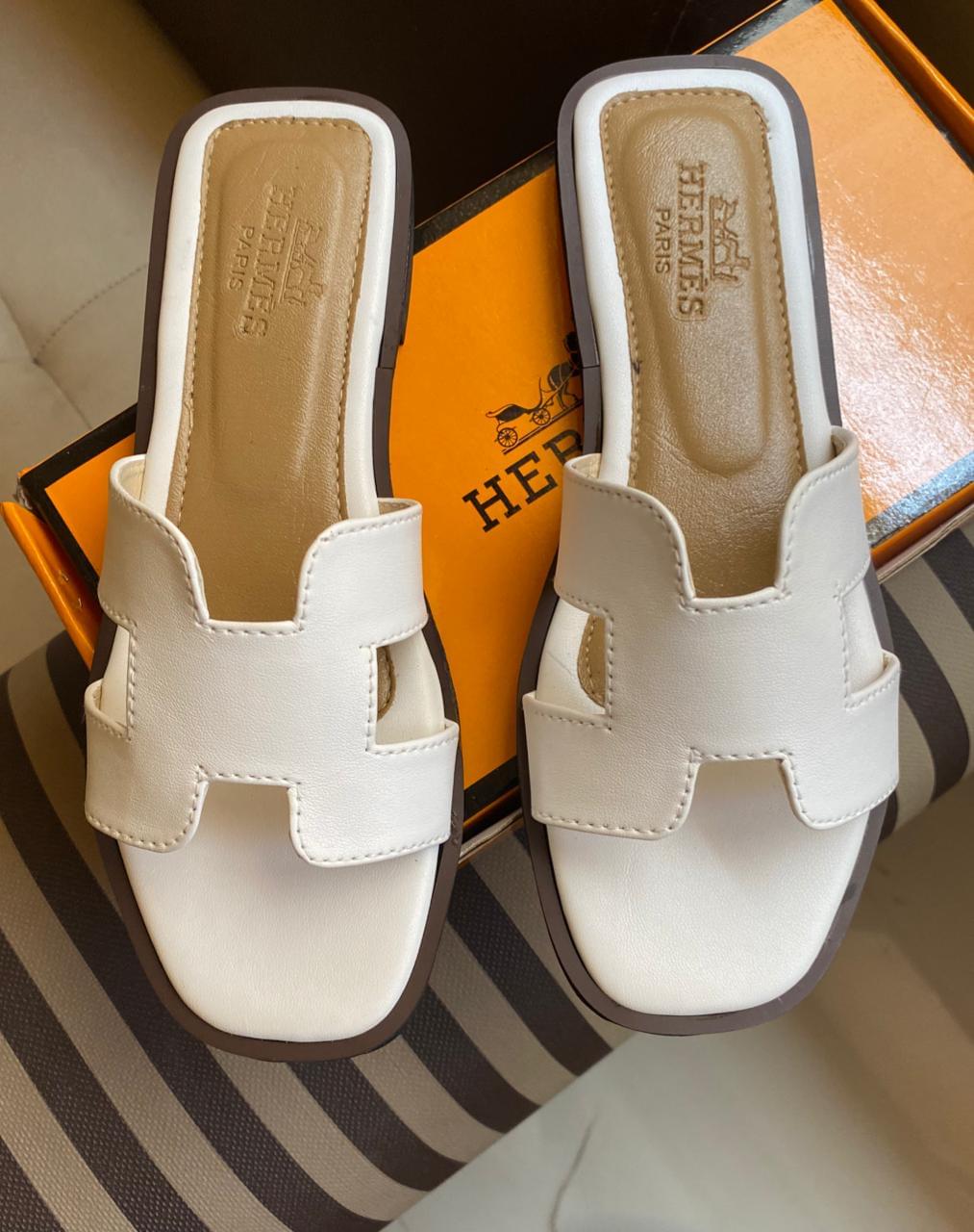 *Herme's-slipper's*