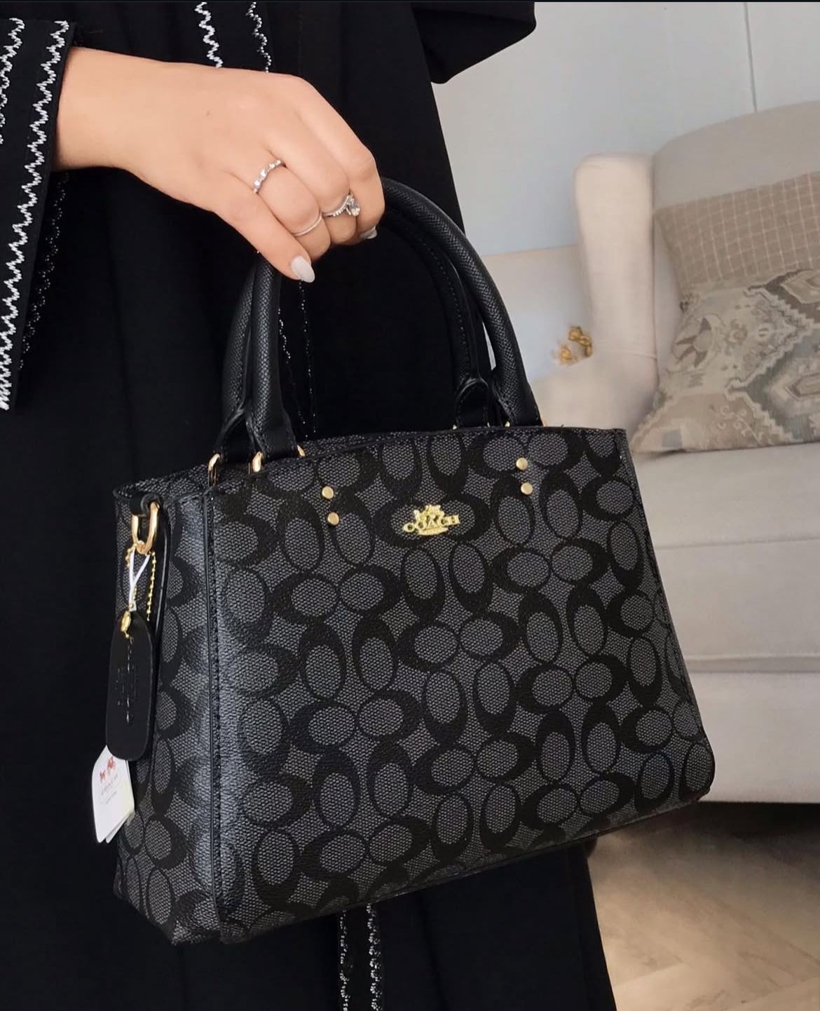 Coach  Handbag