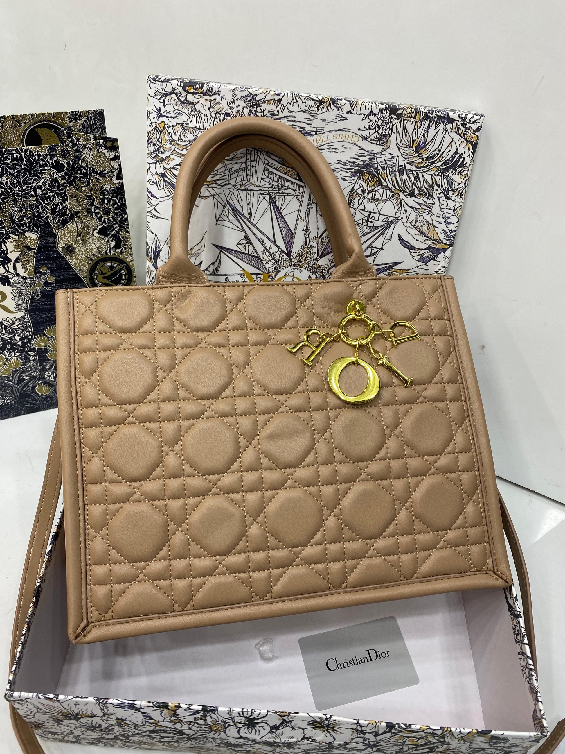 Dior Book Tote Bag
