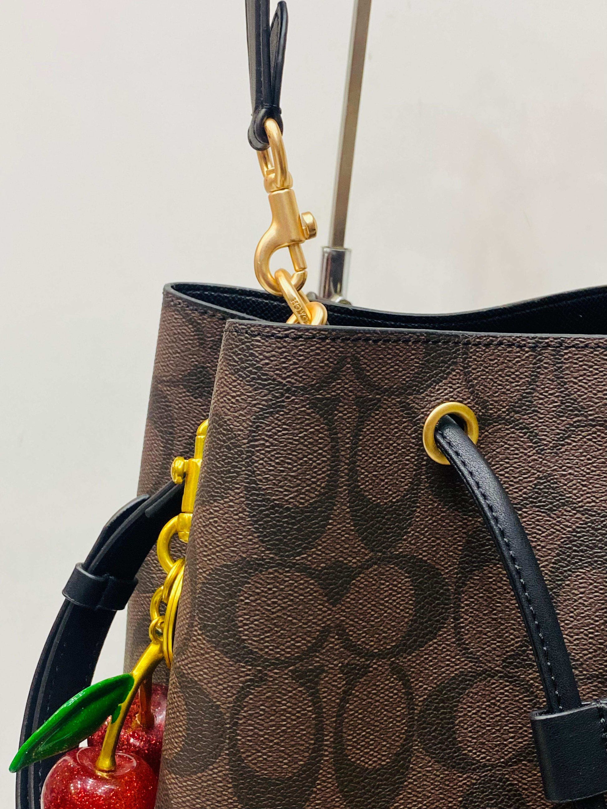 COACH Rowan Bucket Bag with Pouch