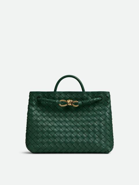 BOTTEGA VENETA Andiamo Intrecciato Leather Bag