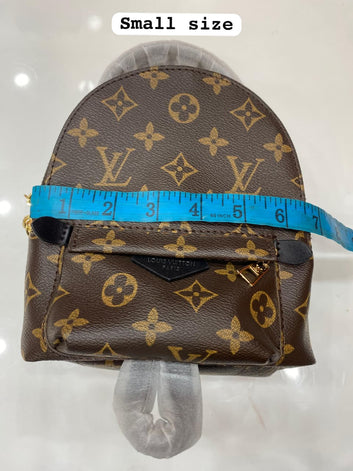 Louis Vuitton Palm Springs Mini Monogram Canvas Backpack
