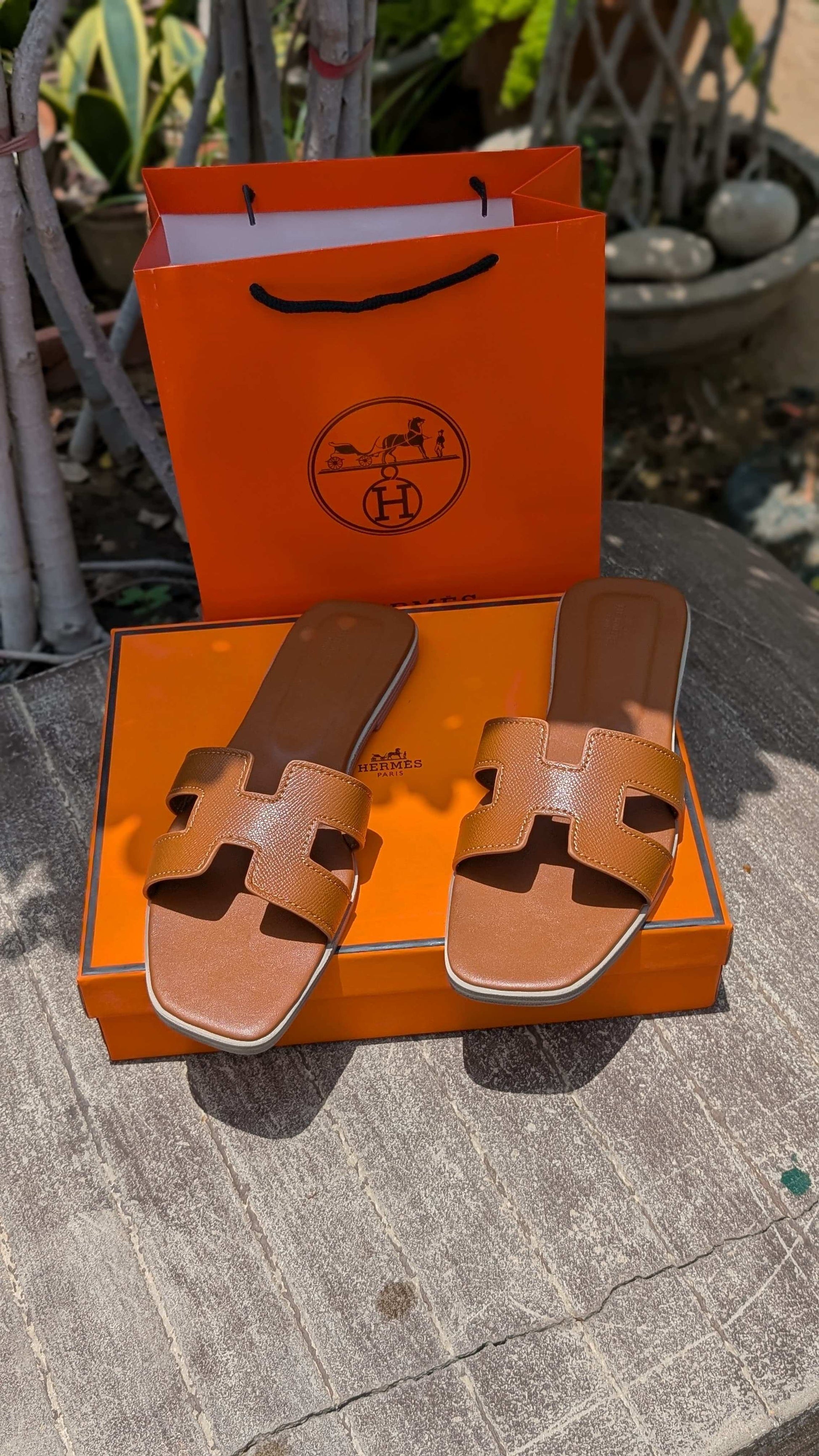 Imported Herme's-slippers*